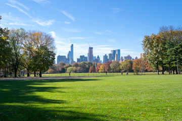 Great lawn located in the heart of Central Park during the fall