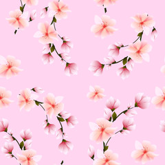 Fototapeta na wymiar Seamless background with sakura flowers cherry. Vector illustration
