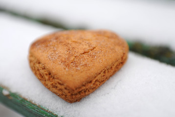 Homemade cookies with cinnamon in the snow