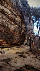 Obraz premium Prašná brána, Czech republic