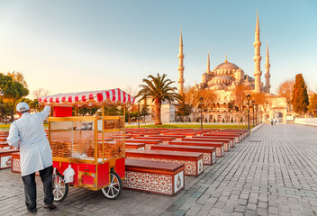 Traditional turkish fast food cart at Blue Mosque Cami background. Morning scene. Classical...