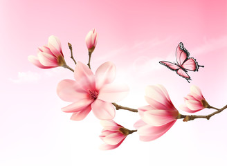 Fototapeta premium Nature background with blossom branch of pink flowers and butter