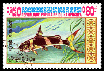 Postage stamp. Fish  catfish.