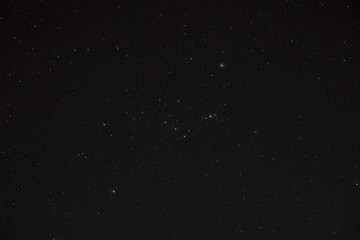 night sky with orion