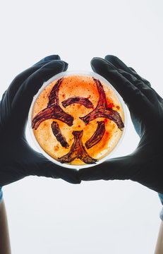Hands hold Petri dish with biohazard symbol sign. Contaminated water food supply concept. Dangerous infectious disease. Medical lab testing research. Bacterial infection control prevention outbreak