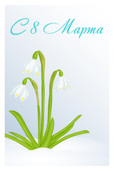 Beautiful congratulation or greeting card for women's day with Leucojum in snow. Russian translation: 8 March. Holiday greetings background in cartoon style. Vector illustration. Flower Collection.