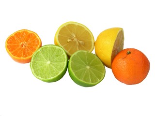 multicolor citrus fruits 