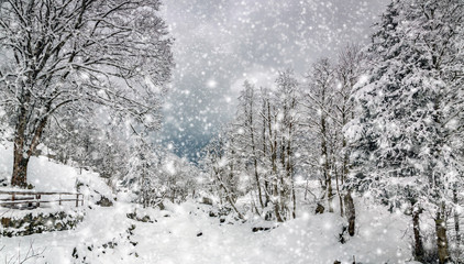 paesaggio invernale con fiocchi di neve