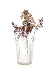 dried flowers in glass