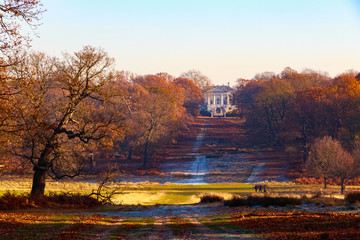 The royal ballet school in Richmond Park, London