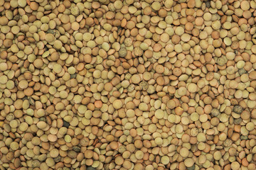 Lentil seed background and textured, Organic lentil for healthy