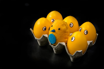 Easter Chick