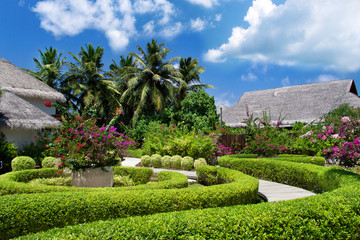 Tropical garden on exotic island
