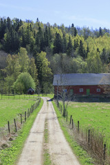 Countryside landscape