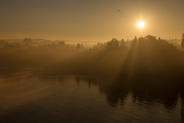 Misty sunrise morning on Ticino river with trees in silhouette (