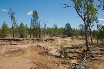 Australian plain with flood soil damage