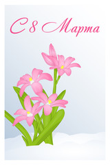 Beautiful congratulation or greeting card for women's day with Chionodoxa in snow. Russian translation: 8 March. Holiday greetings background in cartoon style. Vector illustration. Flower Collection.