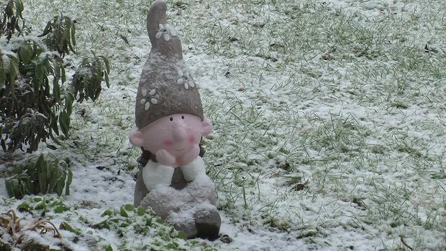 Schneefall am fr&uuml;hen Abend und ein Gartenzwerg aus Ton sitzt entspannt in der angezuckerten Wiese