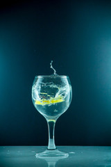 slice of lemon drops in a glass of water
