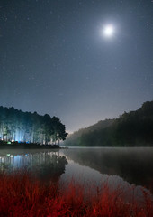 Obrazy na Szkle  Malownicze światło lasu sosnowego świeci wraz z księżycem na zbiorniku w nig