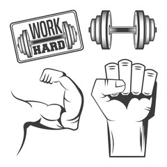 muscle arm, hand fist and dumbbell over white background. healthy lifestyle and work hard concept. vector illustration