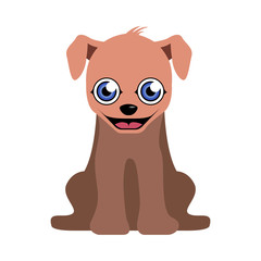 Isolated cute dog