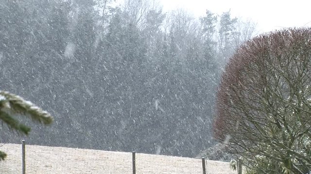 Schneefall und binnen kurzer Zeit ist die Landschaft wei&szlig; geworden (Totale)