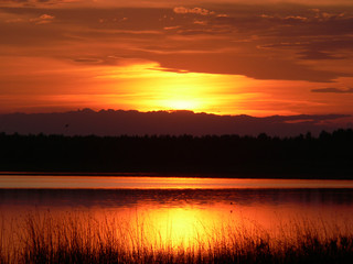 Bright red sunset on the lake