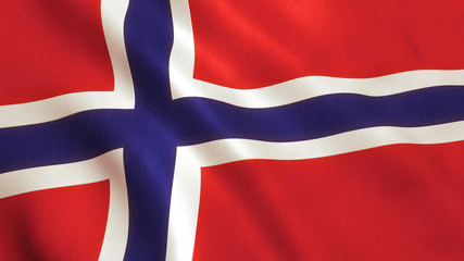 Norway Flag Waving - Germany Background