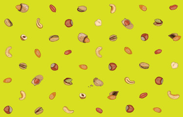 This vector illustation texture backgrount any kind of nuts include filbert, hazelnut, walnut, peanut, goober, ground nut,  peavine, pindar, almond,  cashew, pistachio