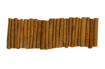 Cinnamomum verum