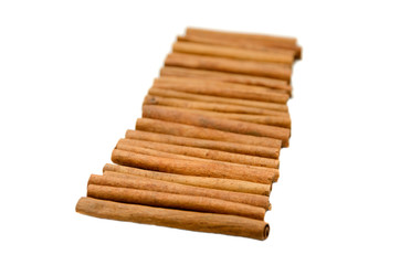 Cinnamomum road