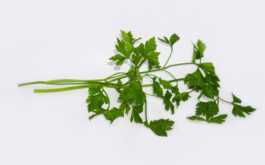 Closeup of blades of green parsley isolated on white background
