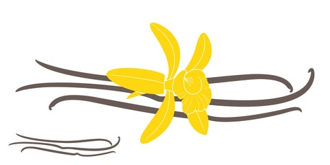 Fototapeta premium Vanilla sticks with flowers