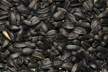Heap of Sun flower seed background. Agriculture oilseed sunflower crops