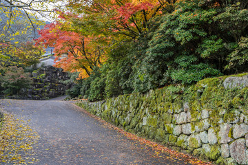Romantic autumn road in Miyajima, Japan