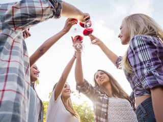 Group young friends toast with glasses of wine in a vineyard