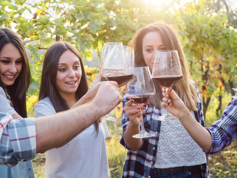 Group young friends toast with glasses of wine in a vineyard