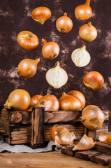 Fresh  bulb onions
