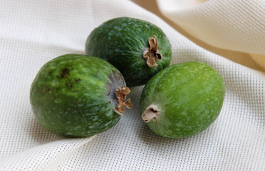 Feijoa