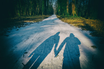 A couple's shadow on a snowy road in the park on a sunny winters day.
