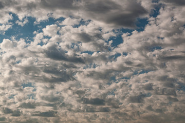 Clouds in the sky in a sunny summer day