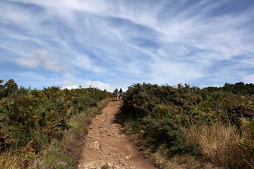 Sentier pédestre menant au Caïrn du Petit Mont.