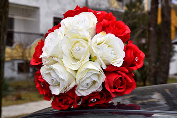 Red roses splendor of its beauty and freshness, Novi Sad, Serbia