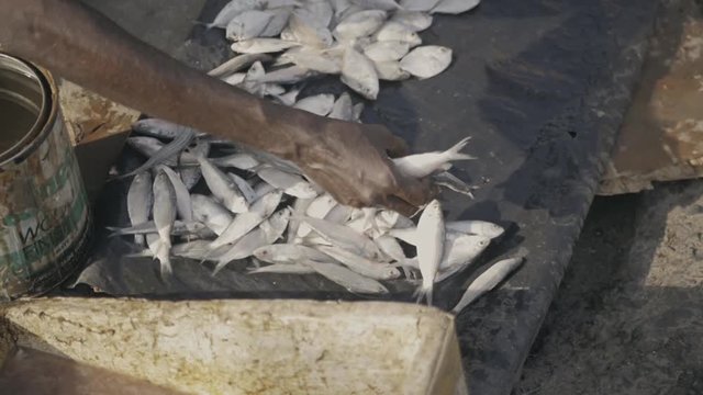 People selling fish at a street market asia