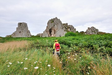 Le sentier de randonnée dans les fougères