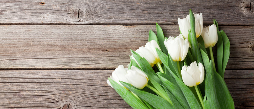 White tulips bouquet