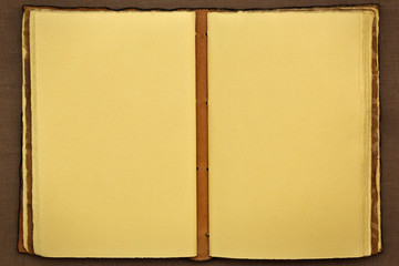 Opened old book usable like a background