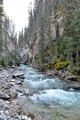 rivière de montagne