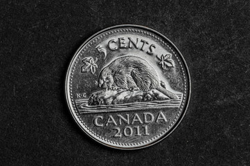 Close up of canadian five cents coin on black background - business concept